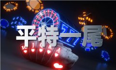 《全国第一》十大高手排名表