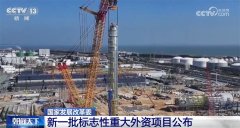 新一批标记性严沉外资项目正在华落地 2025年稳外